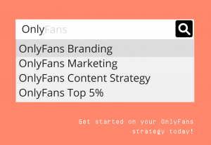 5672Marketing strategy for online SW